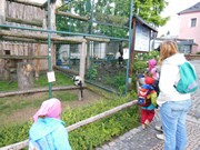 Výlet do ZOO Chleby a Labyrintária Loučeň